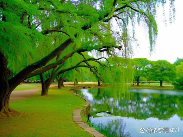 李宇春缩略图