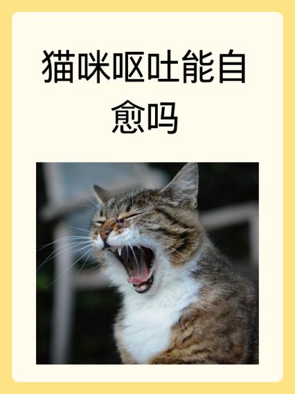 猫咪呕吐拉稀能自愈吗游戏截图