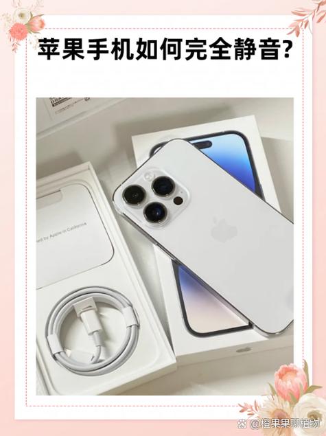 苹果6怎么调静音缩略图