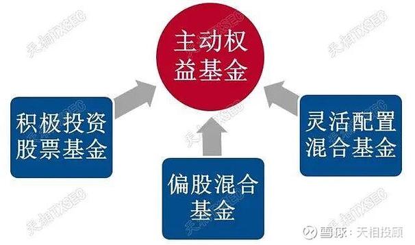 天相投顾缩略图