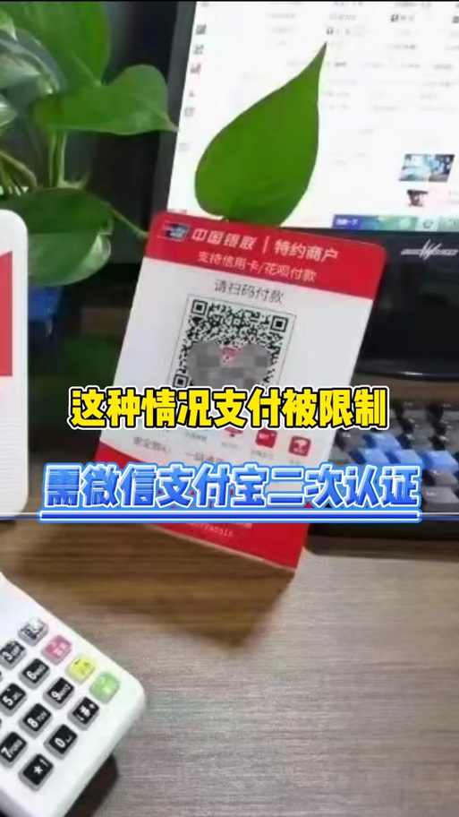 云闪付身份验证通不过游戏截图