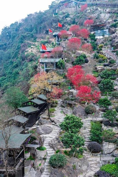 重庆赏花必去三个景点缩略图