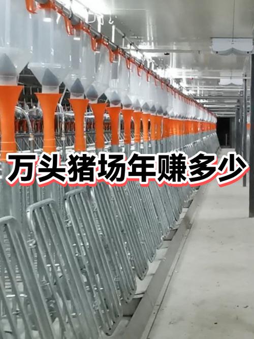 养猪多少头一年赚20万游戏截图