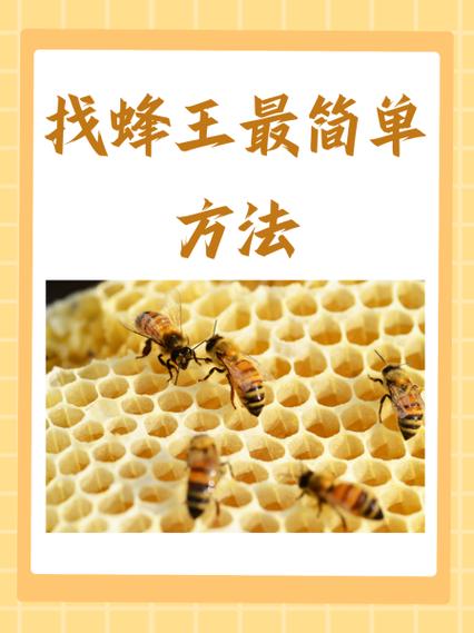 家庭养蜂最简单方法游戏截图
