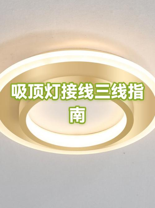 吊顶灯三根线接两根线怎么接游戏截图