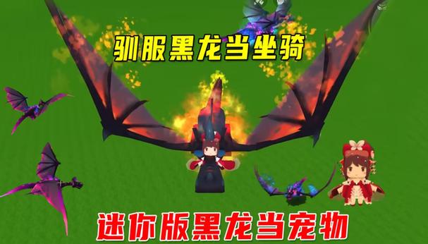 迷你世界驯服黑龙坐骑游戏截图