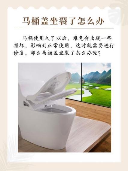 马桶盖打不开怎么办游戏截图