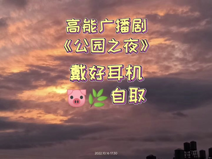 公园之夜广播网盘