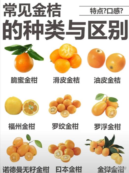 金桔上火还是降火缩略图