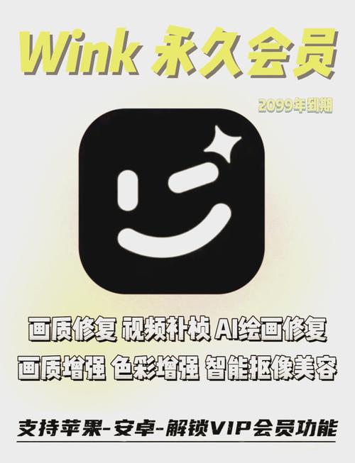 wink永久会员缩略图