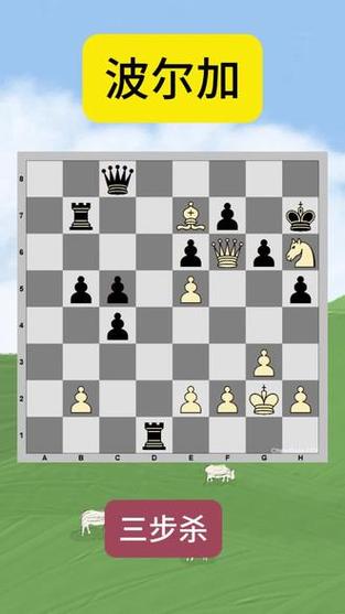 国际象棋三步杀王走法缩略图