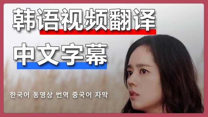 字幕翻译成中文游戏截图
