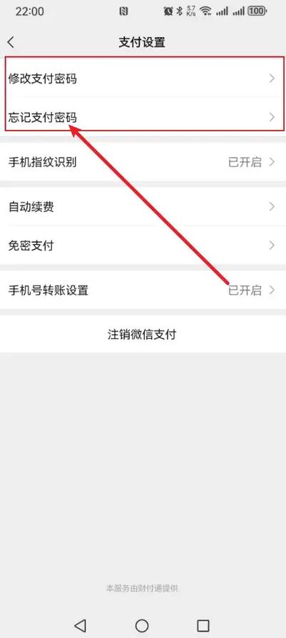 忘记了支付密码怎么办缩略图