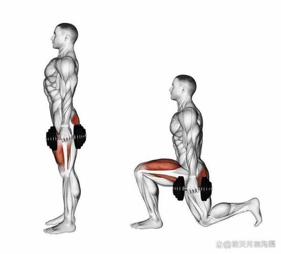 锻炼肌肉的方法游戏截图