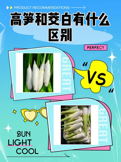 6a线与7a区别缩略图