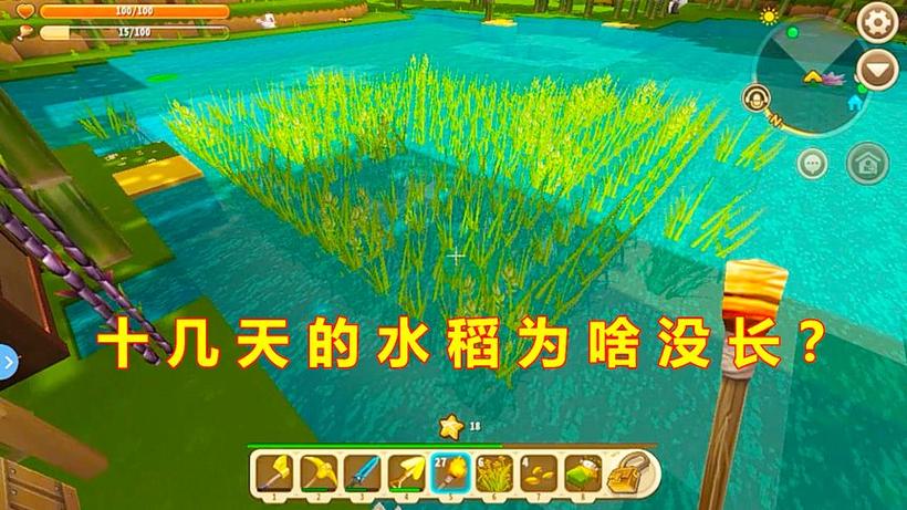 迷你世界水稻繁殖游戏截图