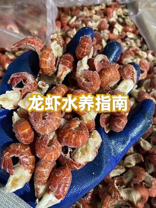 给仓鼠喝烧开过的水可以吗缩略图