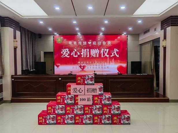 ehviewer进入里站需要捐赠缩略图