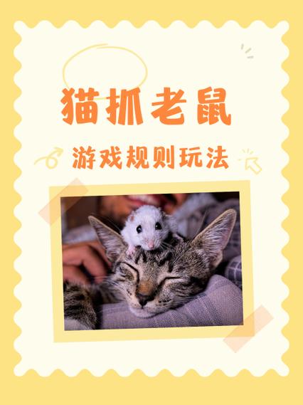小猫手机屏抓老鼠游戏图标