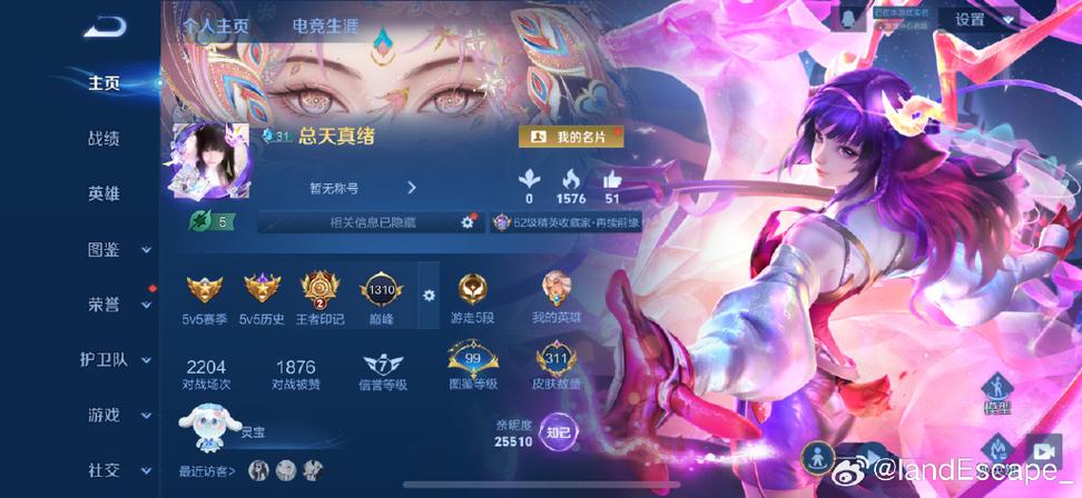 王者荣耀v10号真实账号密码缩略图