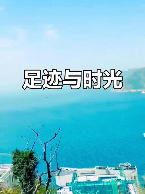 历史轨迹查询游戏截图