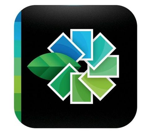 snapseed哪个版本好用缩略图
