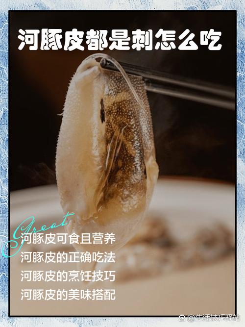 河豚鱼干的皮能吃吗游戏截图