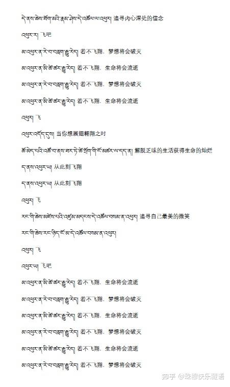 vivo语言藏语改中文缩略图