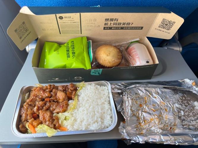 飞机上随身携带的食品游戏截图