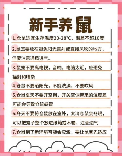 如何养好一只小仓鼠缩略图