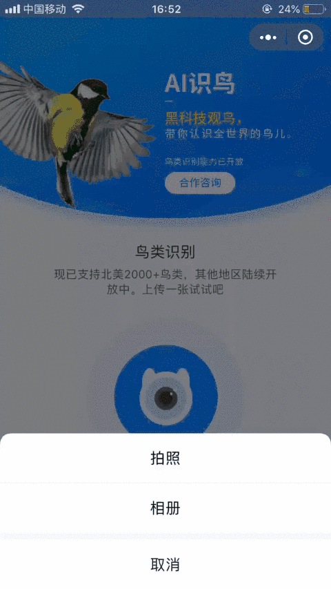 识别动物扫一扫缩略图