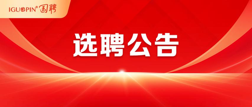 河北人才网招聘官网缩略图