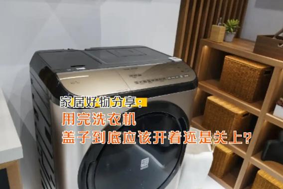 洗衣机盖子盖不了怎么办游戏截图