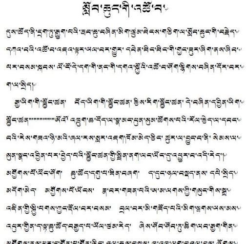 藏文作文500字游戏截图