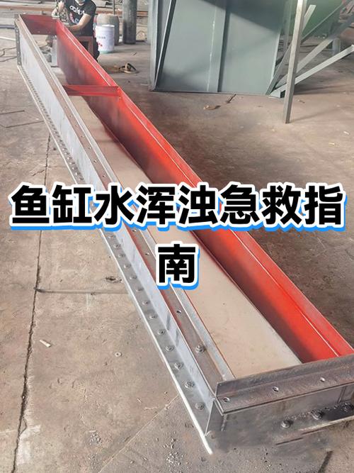 鱼缸水浑浊发黄的解决办法缩略图