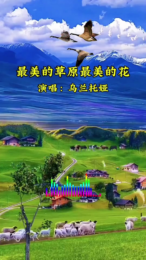 你是草原最美的花缩略图