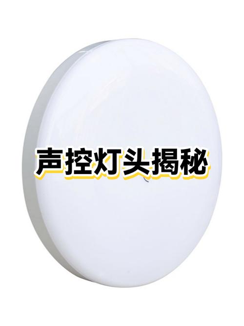 声控一般叫什么名字游戏截图