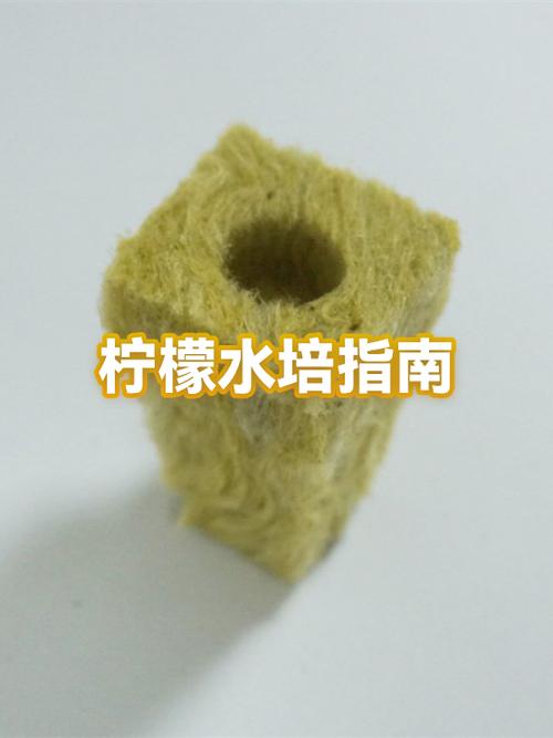 柠檬泡水喝的功效与作用图标