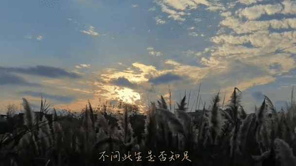 qq动态说说缩略图