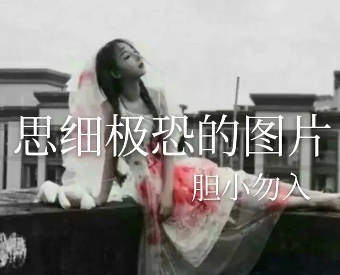 极思恐极和细思恐极区别游戏截图