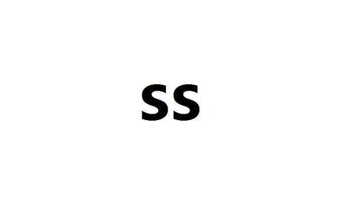 ss什么意思网络用词缩略图