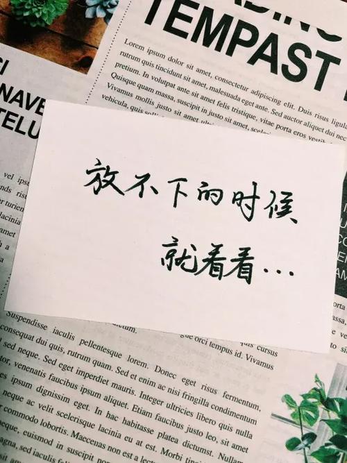 高情商晒红薯的句子缩略图