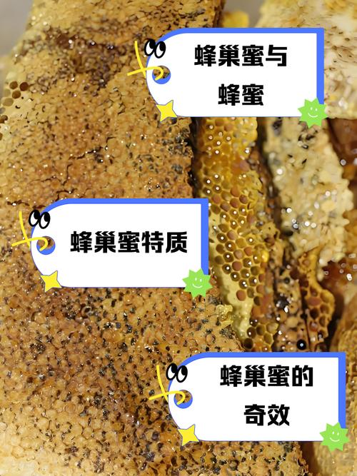 蜂蜜好还是蜂巢好缩略图
