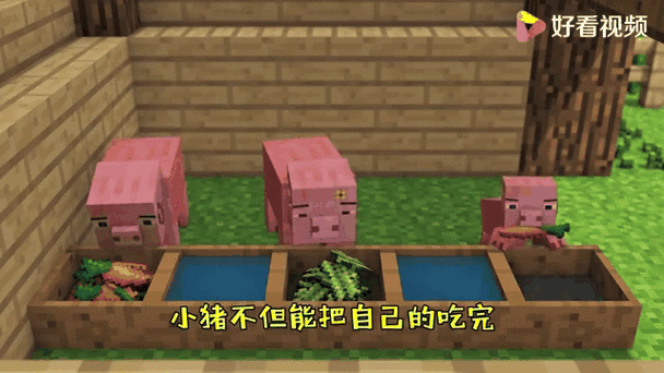 我的世界猪吃马铃薯吗缩略图