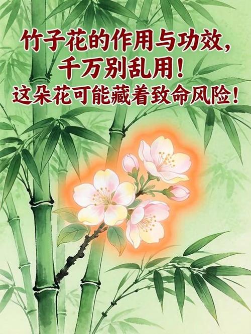 竹子花可以泡水喝吗缩略图