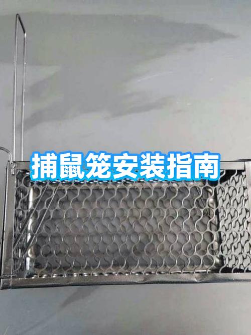 网上买的笼子怎么安装缩略图