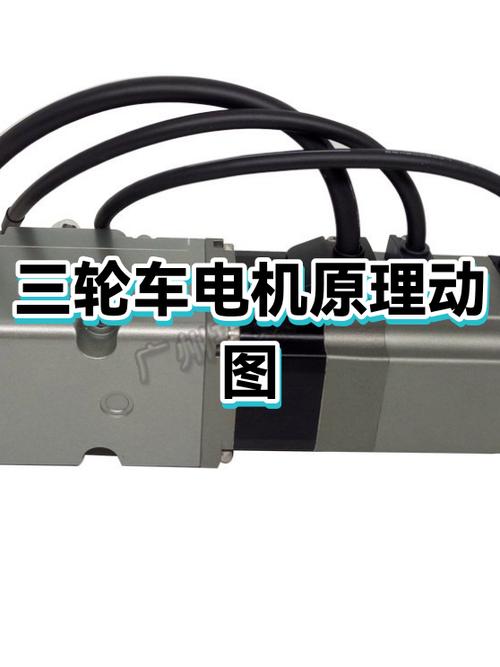 电动三轮车电机转动车轮不转缩略图