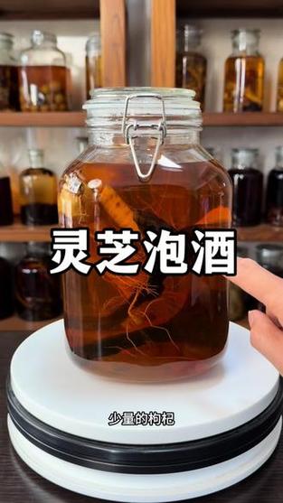 灵芝和什么泡酒补肾壮阳缩略图
