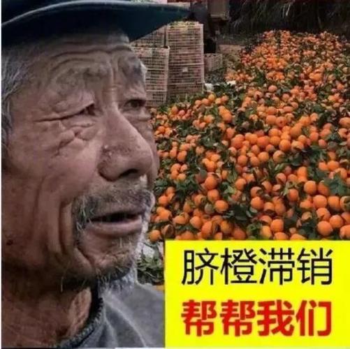 网红帮帮靠谱吗缩略图