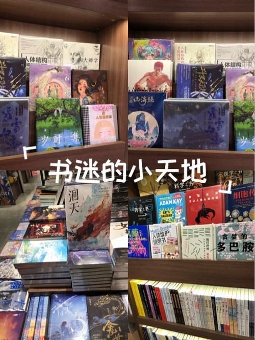 热门小说软件排行榜缩略图
